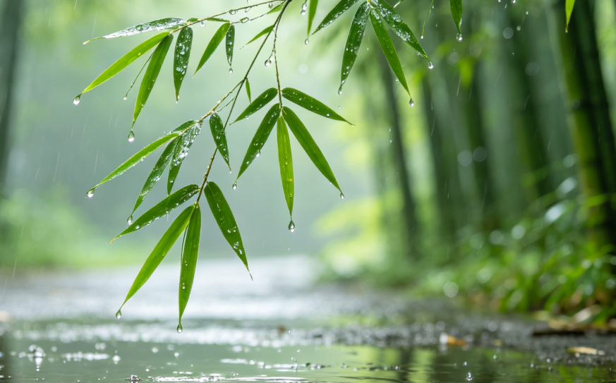 The 24 Solar Terms – Grain Rain