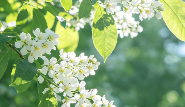 Riding the Momentum of Summer Begins, Forging Ahead with Determination